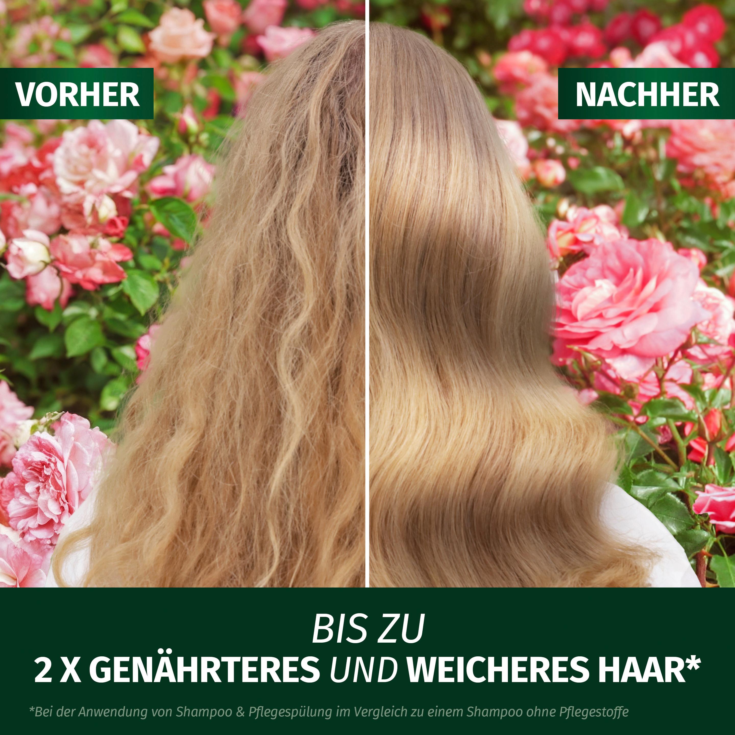 Produktbild Herbal Essences Leave-In Spray Blütensanft Rosenduft 3 von 8