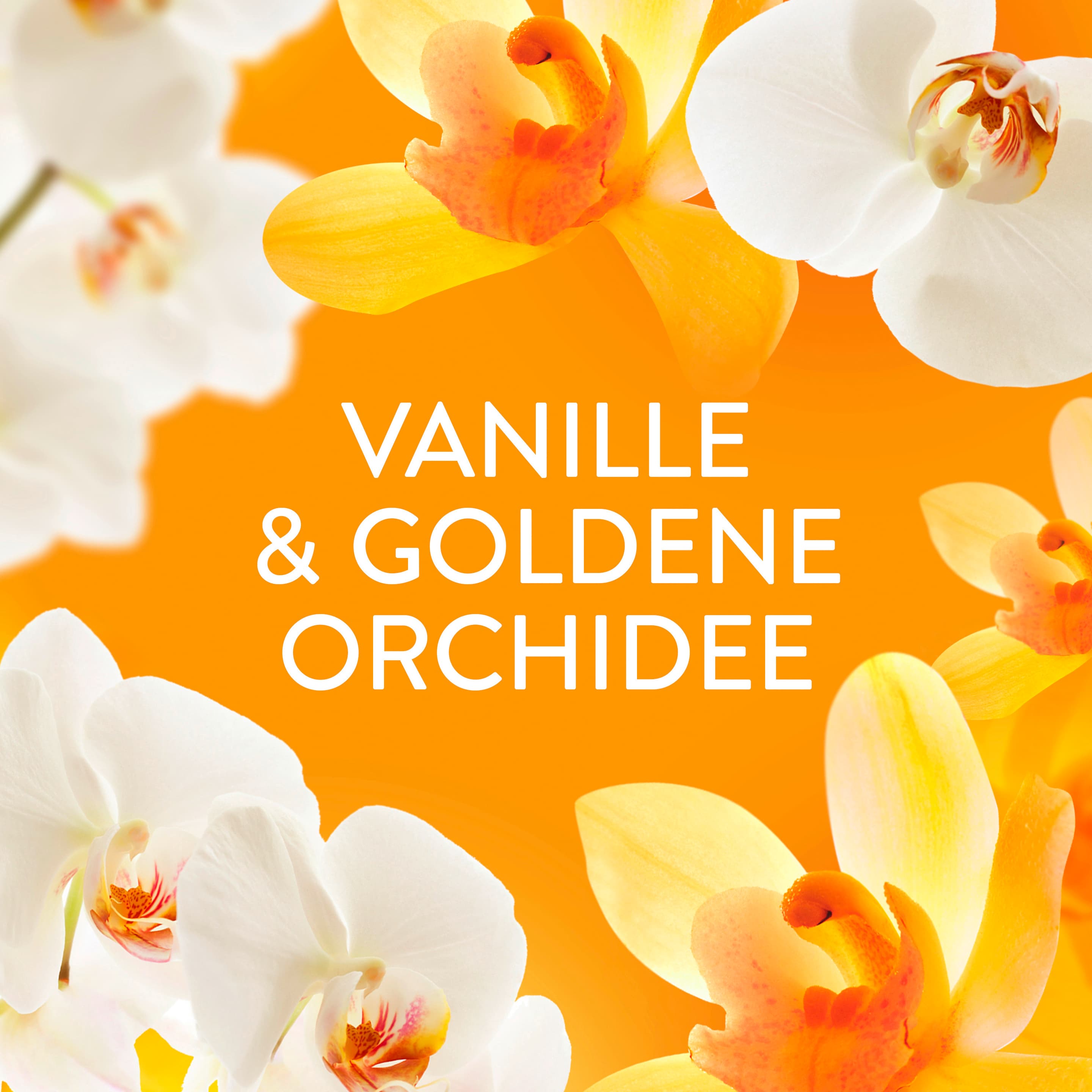 Produktbild Lenor Wäscheparfüm Orchidee & Vanille  8 von 10