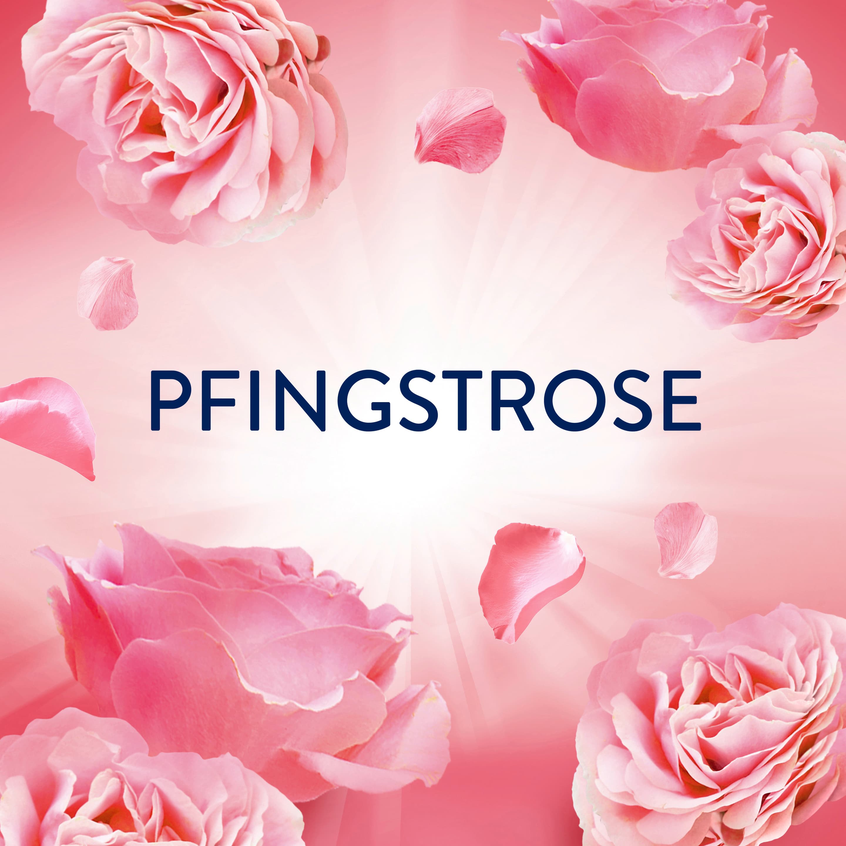 Produktbild Lenor Wäscheparfüm Pfingstrose & Hibiskusblüte  6 von 10