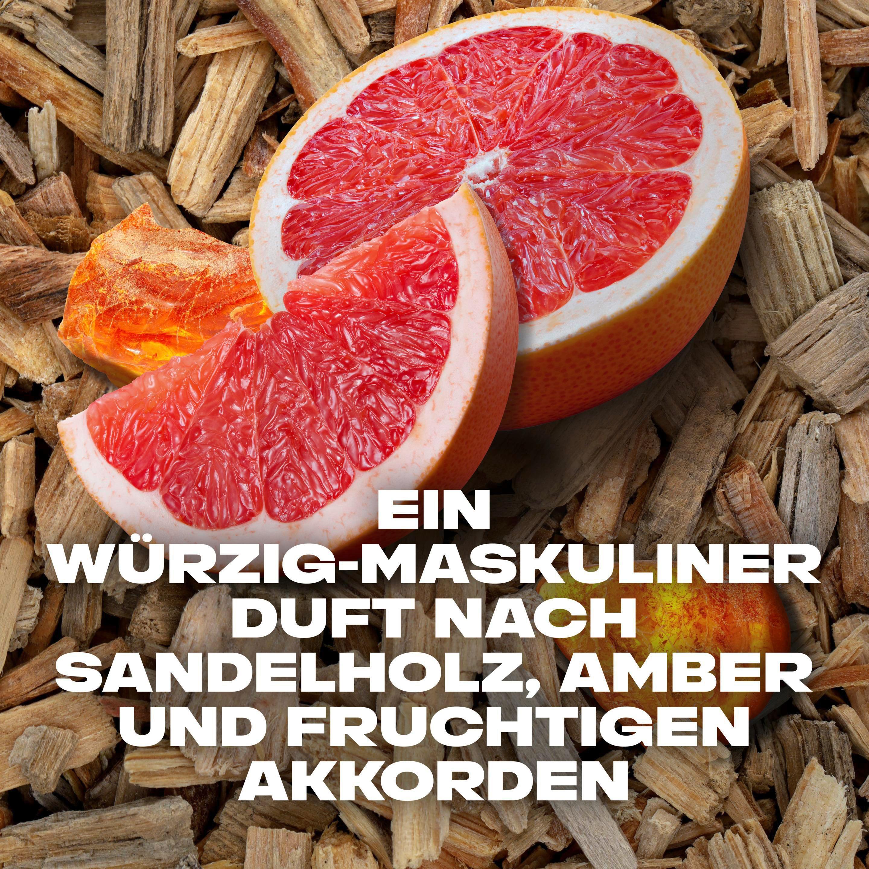 Produktbild Axe Alaska All Day Fresh 3in1 Duschgel 3 von 10
