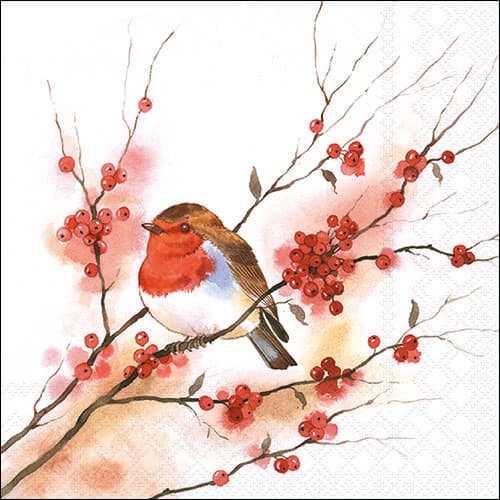 Bella Casa Servietten Birdy Robin 33x33