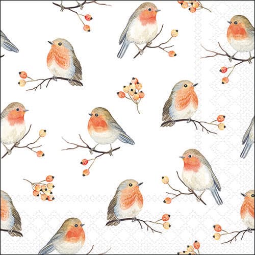 Ambiente Servietten Robin Family 33x33