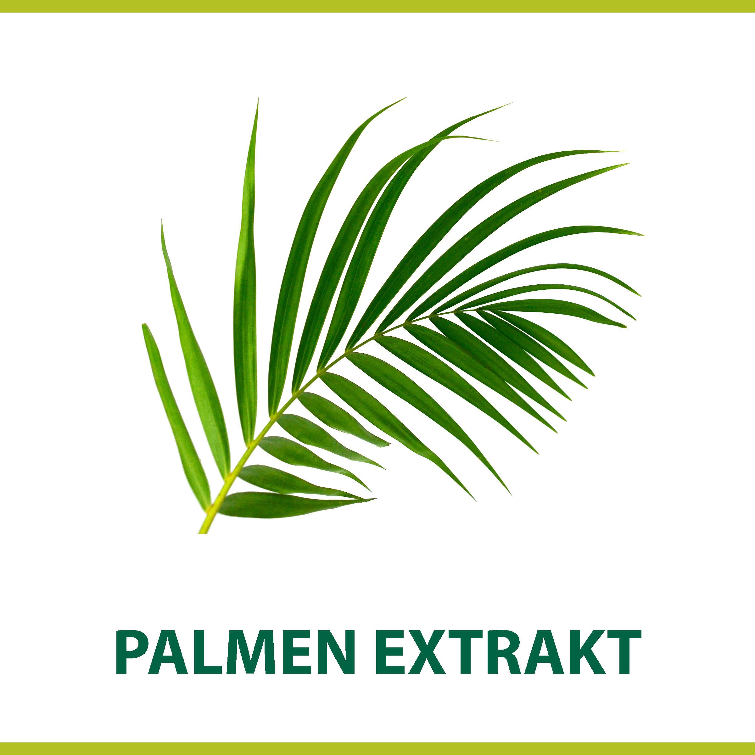 Produktbild Palmolive Rasierschaum für Männer - weicher, cremiger Schaum - schützt vor Rasurbrand und Irritationen für eine sanfte Rasur 4 von 6