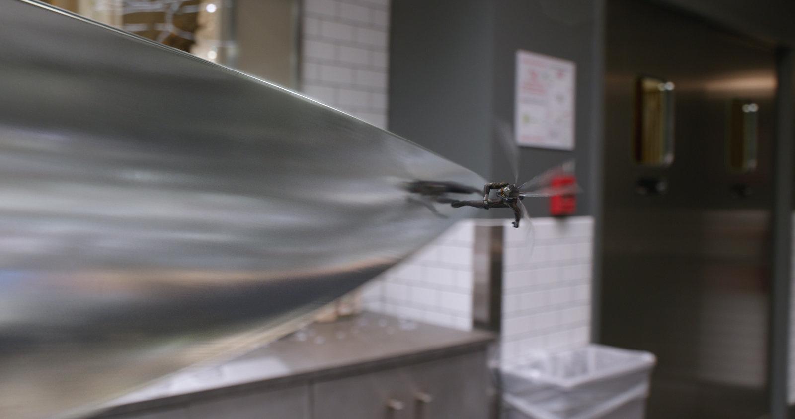 Produktbild Ant-Man and the Wasp 6 von 12