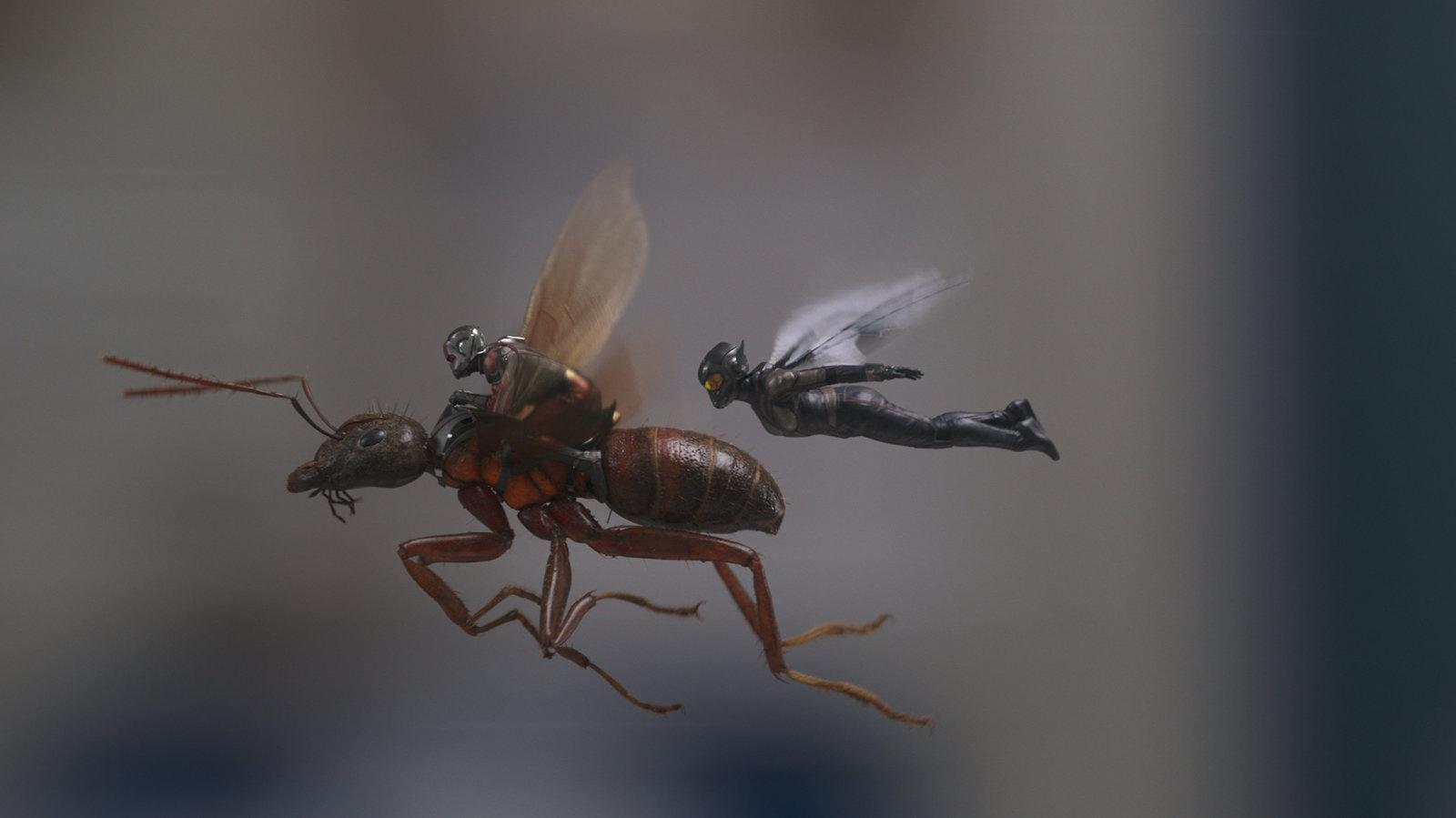 Produktbild Ant-Man and the Wasp 10 von 12