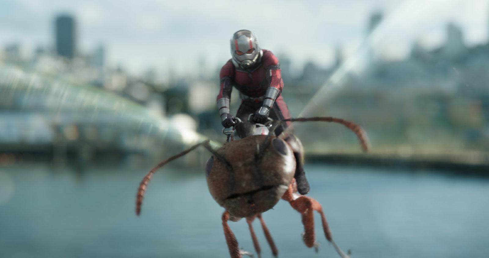 Produktbild Ant-Man and the Wasp 12 von 12