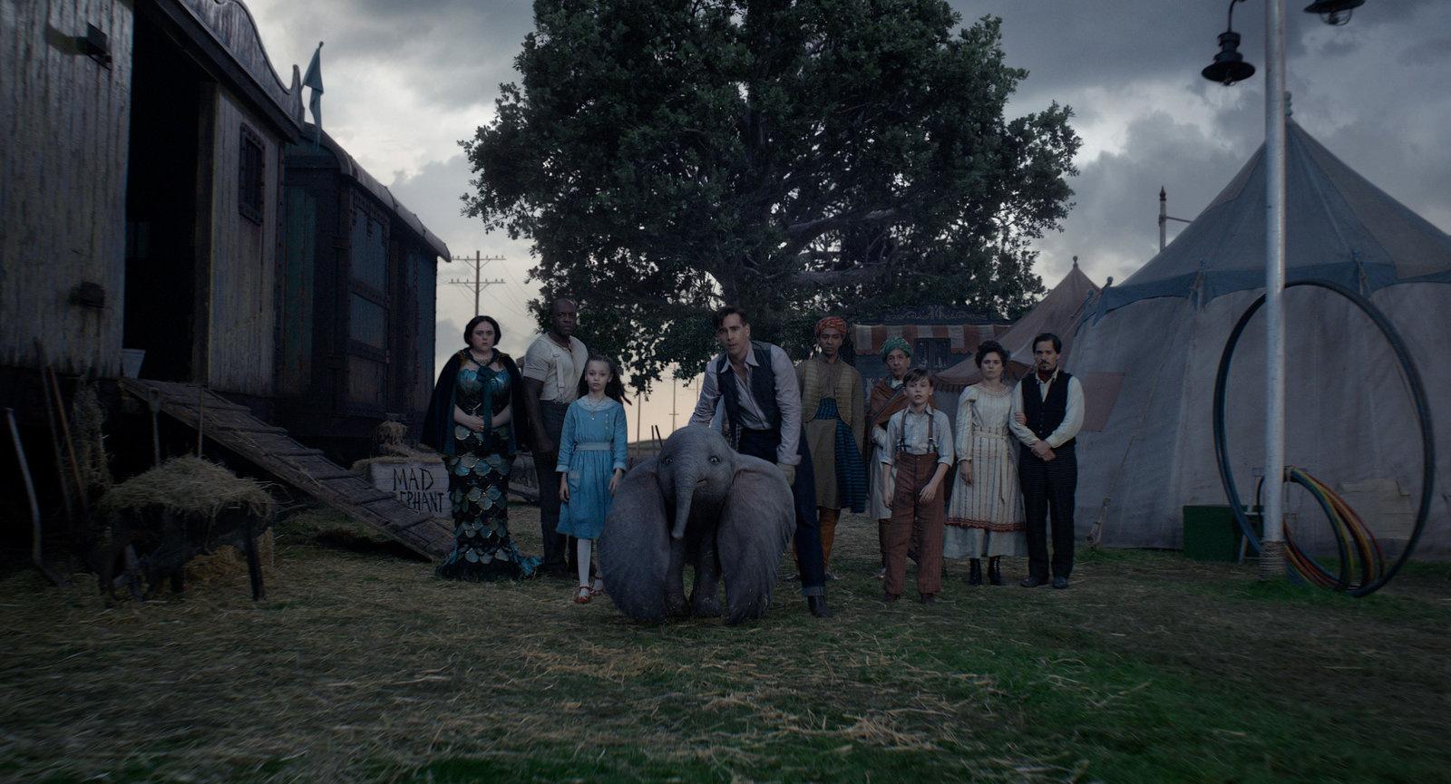 Produktbild Dumbo (Live-Action) 6 von 12