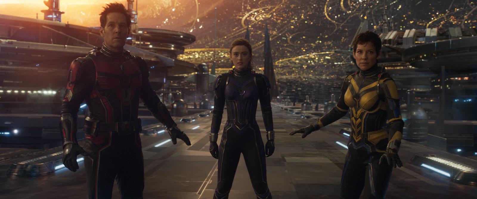 Produktbild Ant-Man and the Wasp - Quantumania 5 von 12