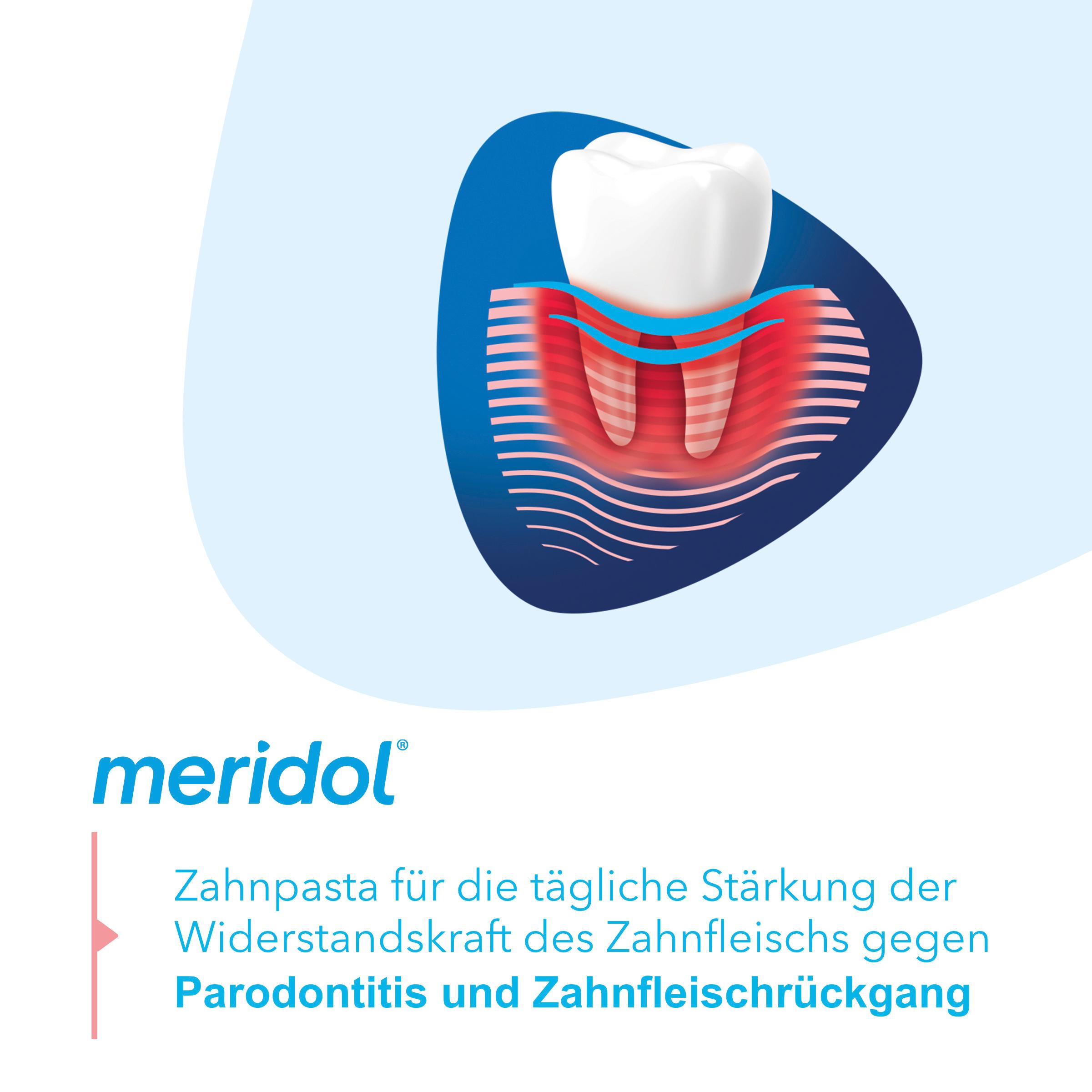 Produktbild meridol Zahnpasta Parodont Expert bei Parodontitis und Zahnfleischrückgang 3 von 11