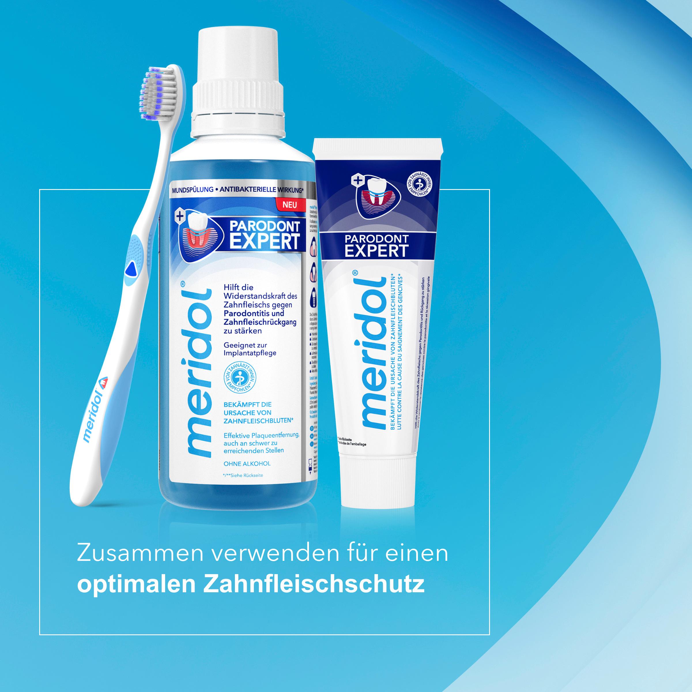 Produktbild meridol Zahnpasta Parodont Expert bei Parodontitis und Zahnfleischrückgang 6 von 11