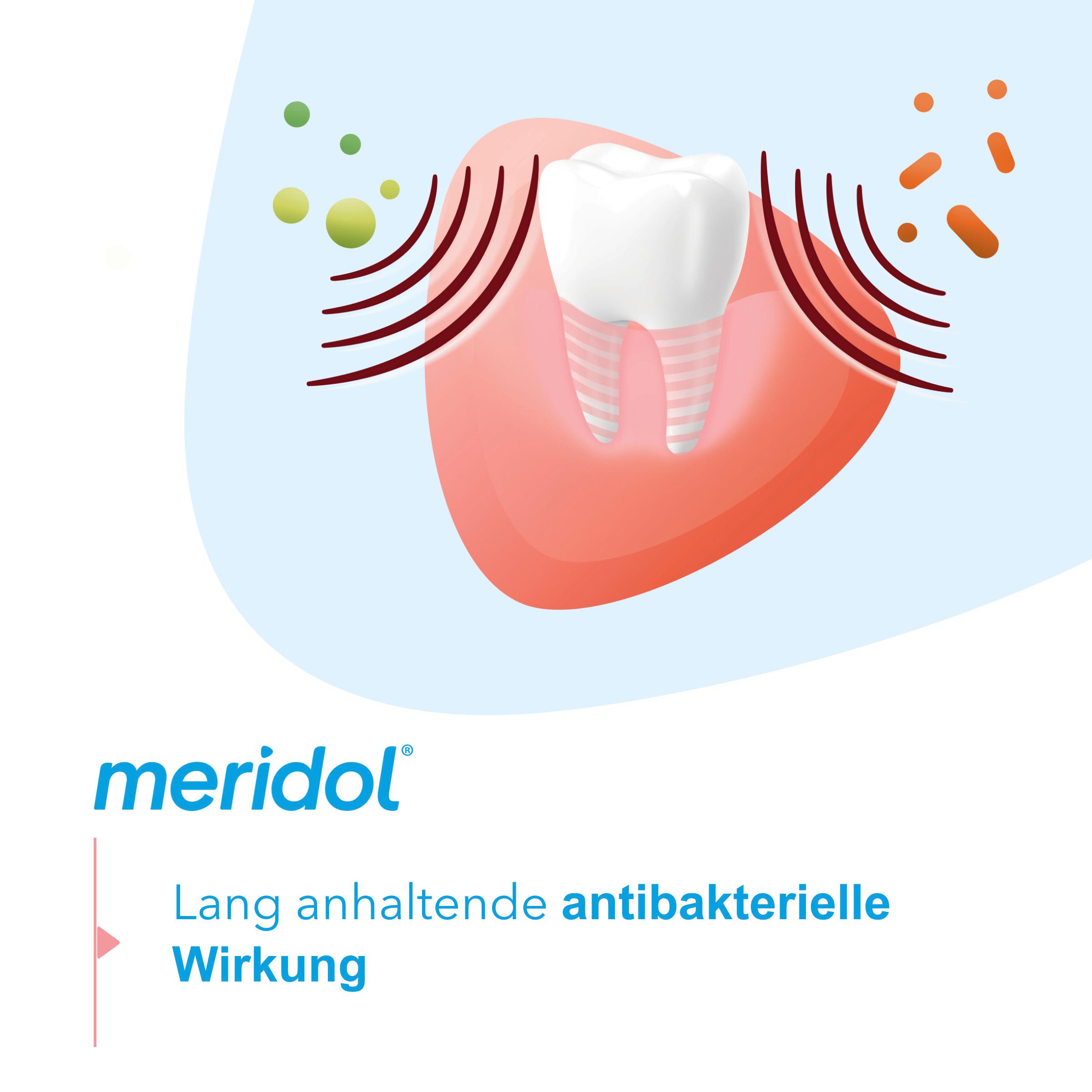 Produktbild meridol Mundspülung Rundumpflege - antibakteriell, schützt Zahnfleisch, stärkt Zähne, erfrischt Atem 4 von 11