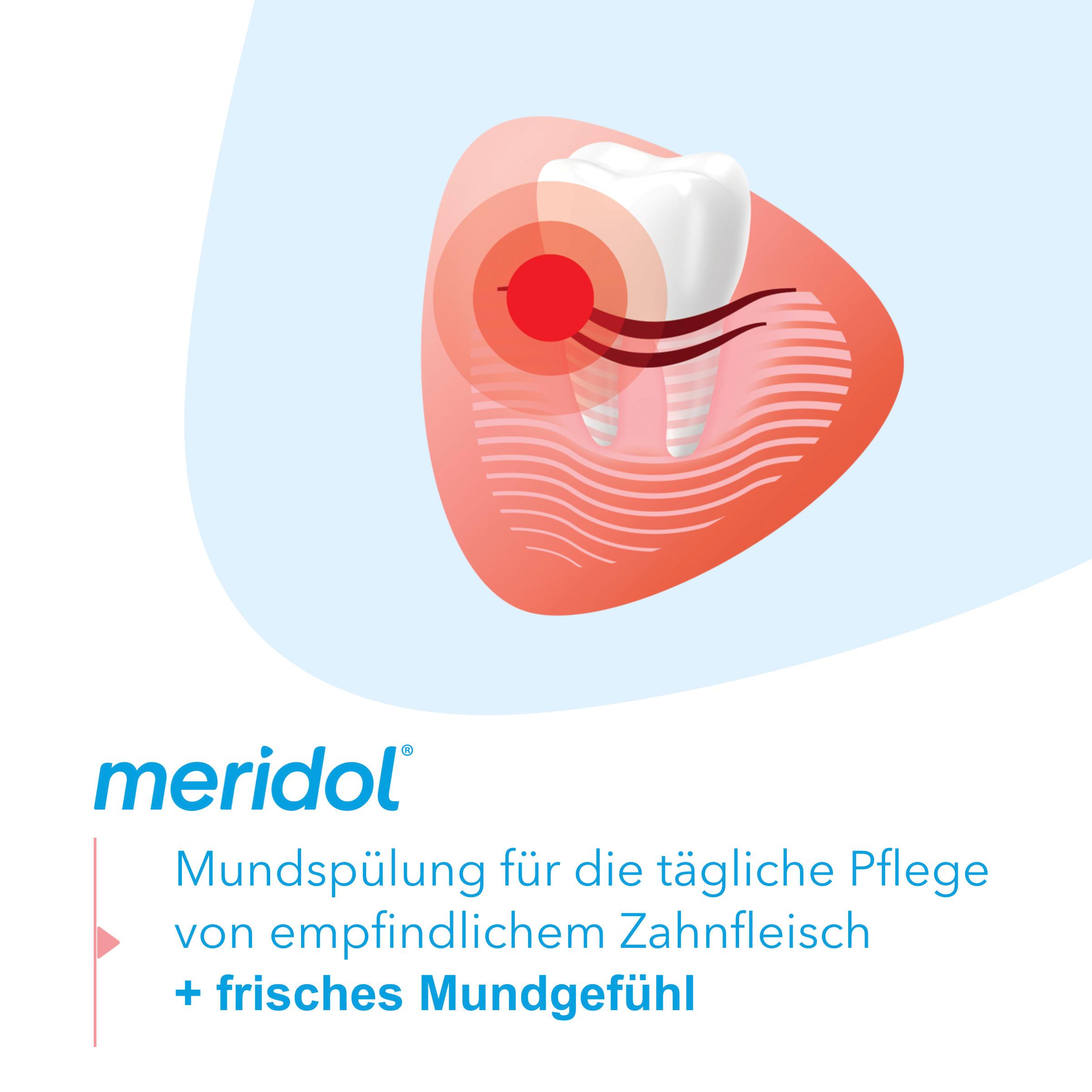 Produktbild meridol Mundspülung Rundumpflege - antibakteriell, schützt Zahnfleisch, stärkt Zähne, erfrischt Atem 7 von 11