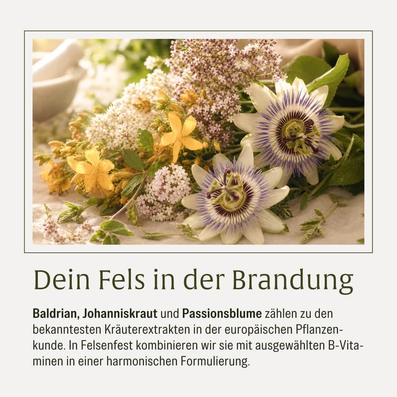 NATURTREU Felsenfest Passionsblume, Baldrian & Johanniskraut-Komplex 90 Kapseln