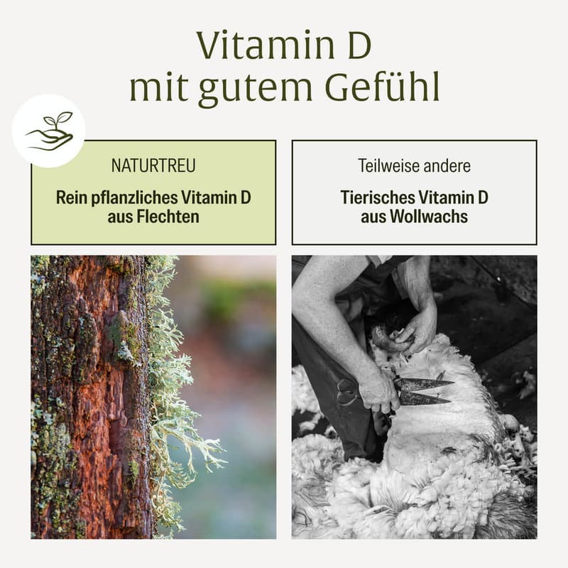 NATURTREU Sonnenknirps Vitamin D3 & K2 Tropfen