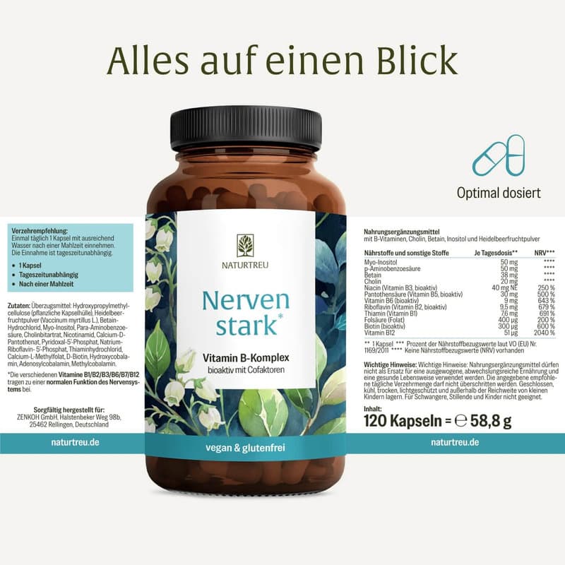 NATURTREU Nervenstark Vitamin B-Komplex 120 Kapseln