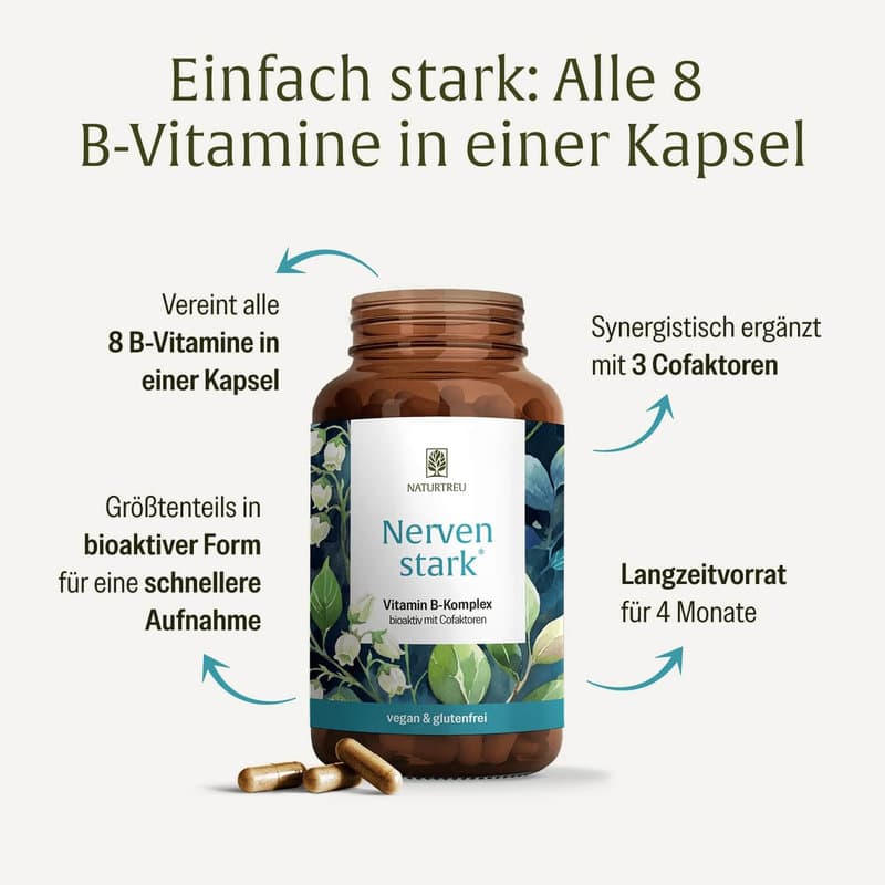 NATURTREU Nervenstark Vitamin B-Komplex 120 Kapseln