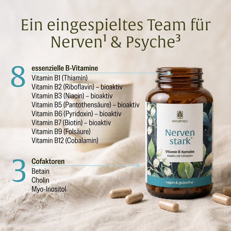NATURTREU Nervenstark Vitamin B-Komplex 120 Kapseln