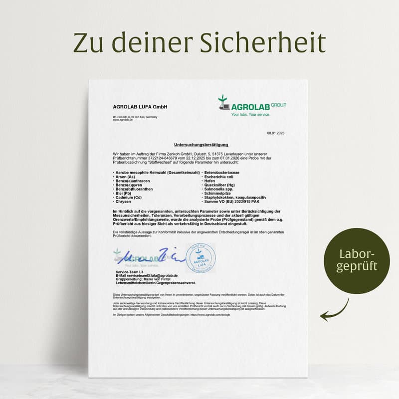 NATURTREU Stoffwechsel Metabolismus-Komplex 120 Kapseln