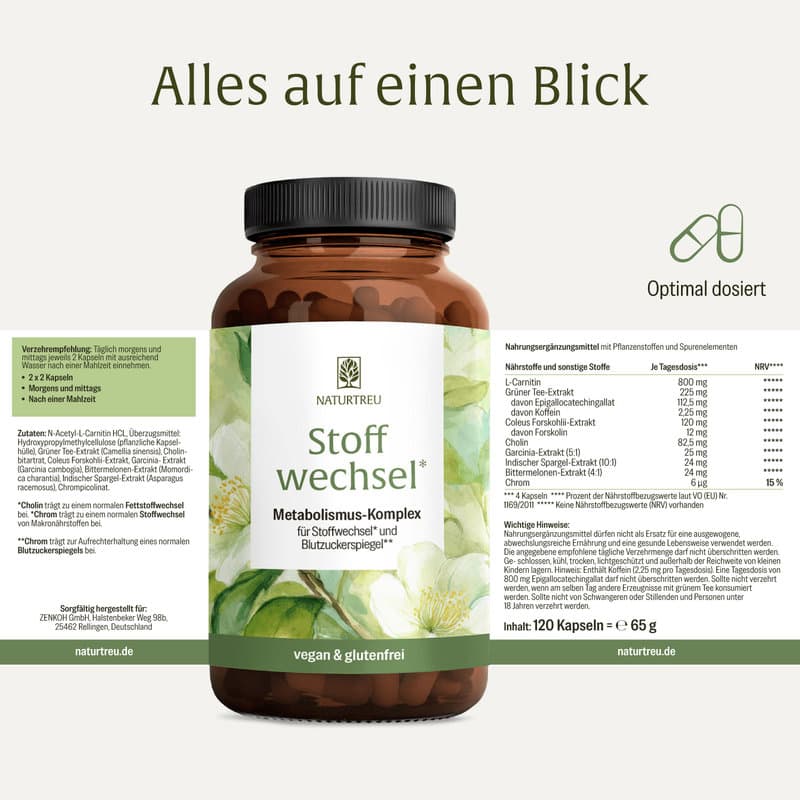 NATURTREU Stoffwechsel Metabolismus-Komplex 120 Kapseln