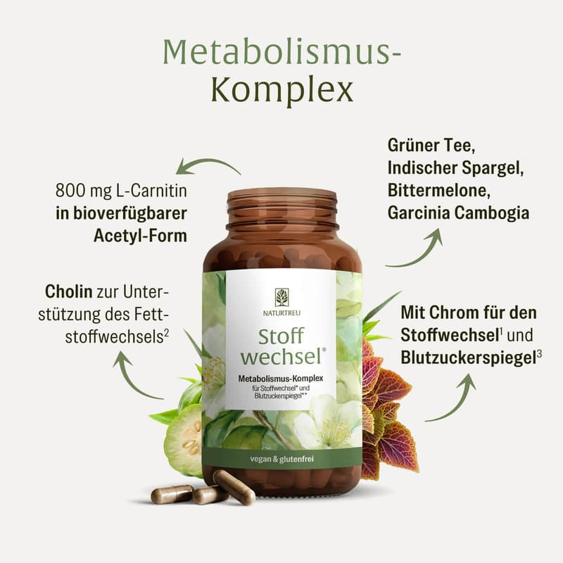 NATURTREU Stoffwechsel Metabolismus-Komplex 120 Kapseln