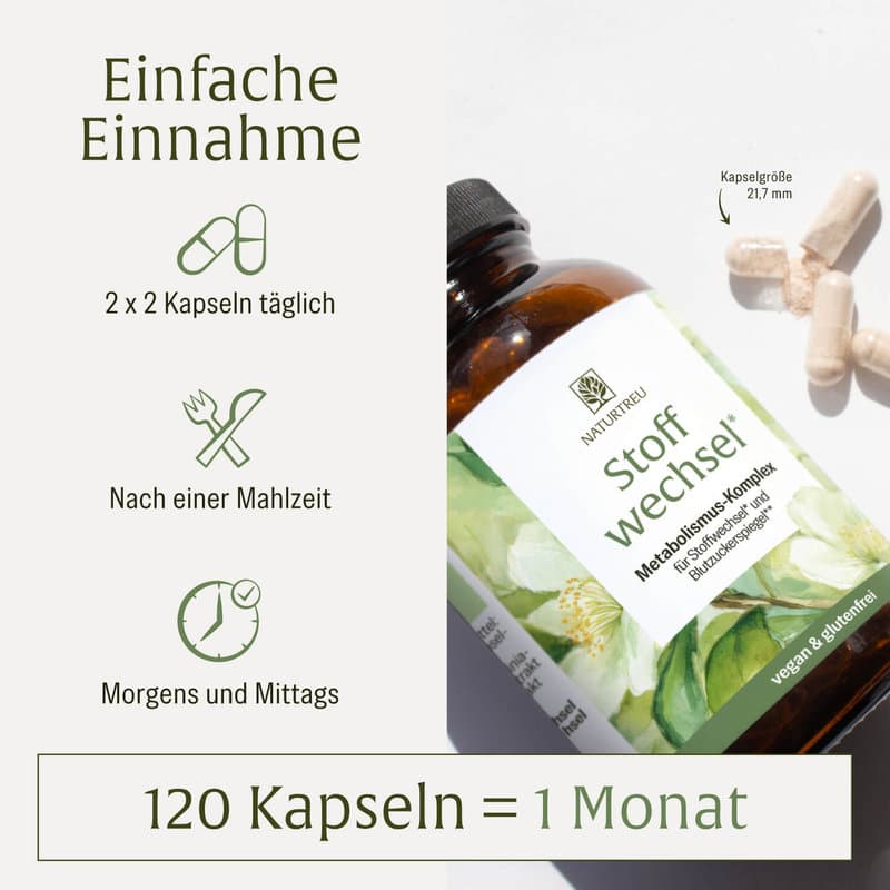 NATURTREU Stoffwechsel Metabolismus-Komplex 120 Kapseln