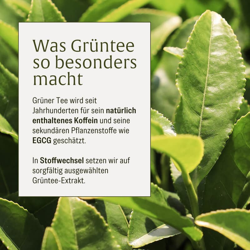NATURTREU Stoffwechsel Metabolismus-Komplex 120 Kapseln