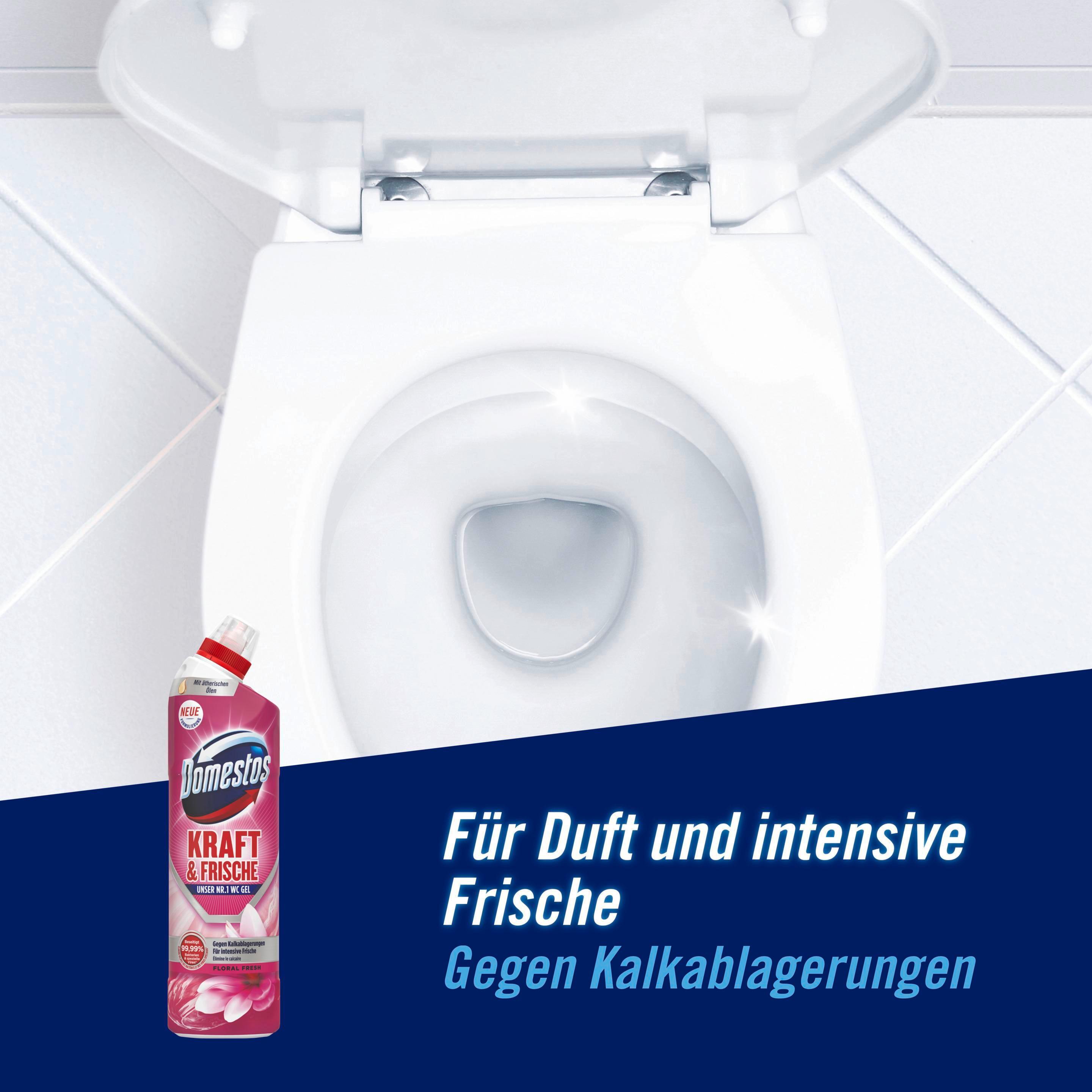 Produktbild Domestos WC Gel Floral 750 ml 3 von 6