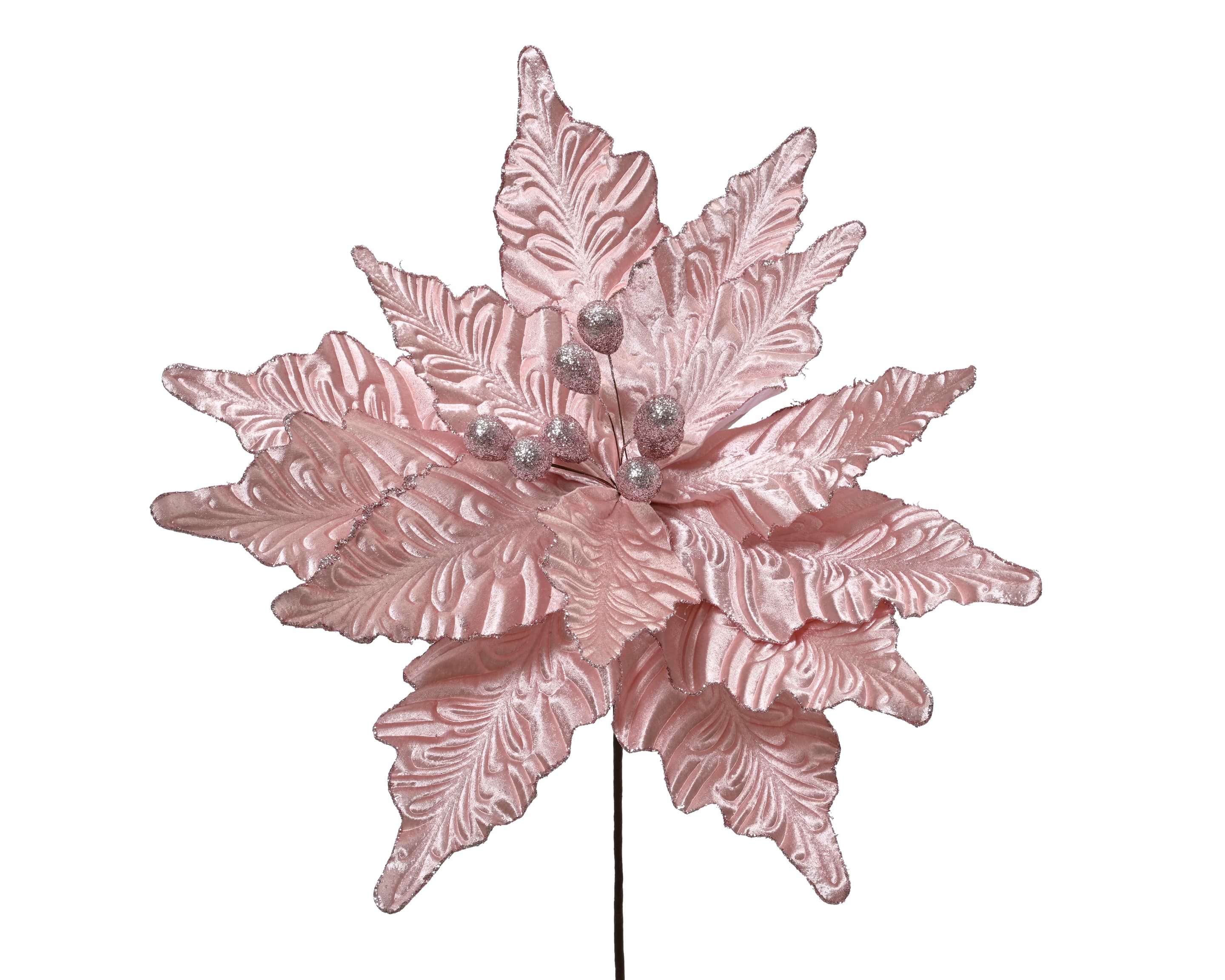 Everlands Poinsettia