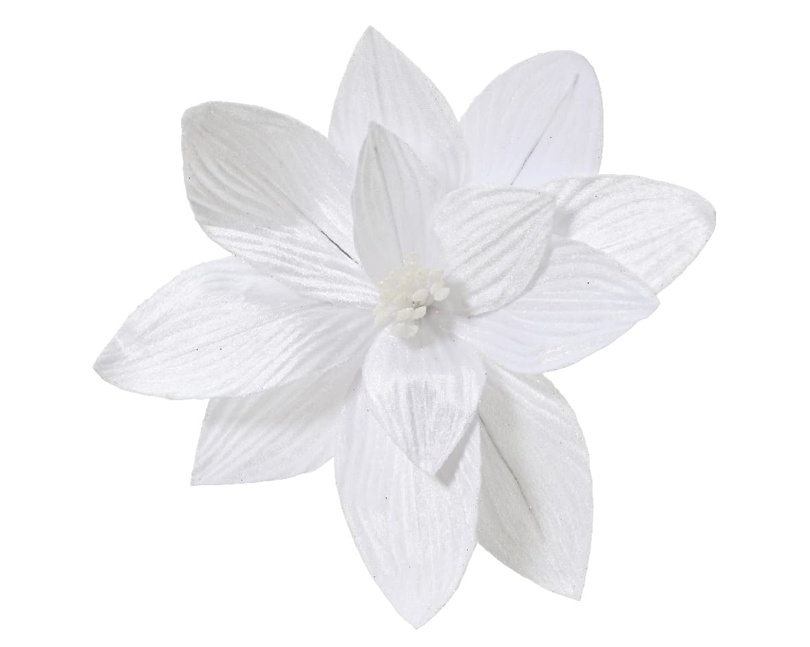 Everlands Poinsettia