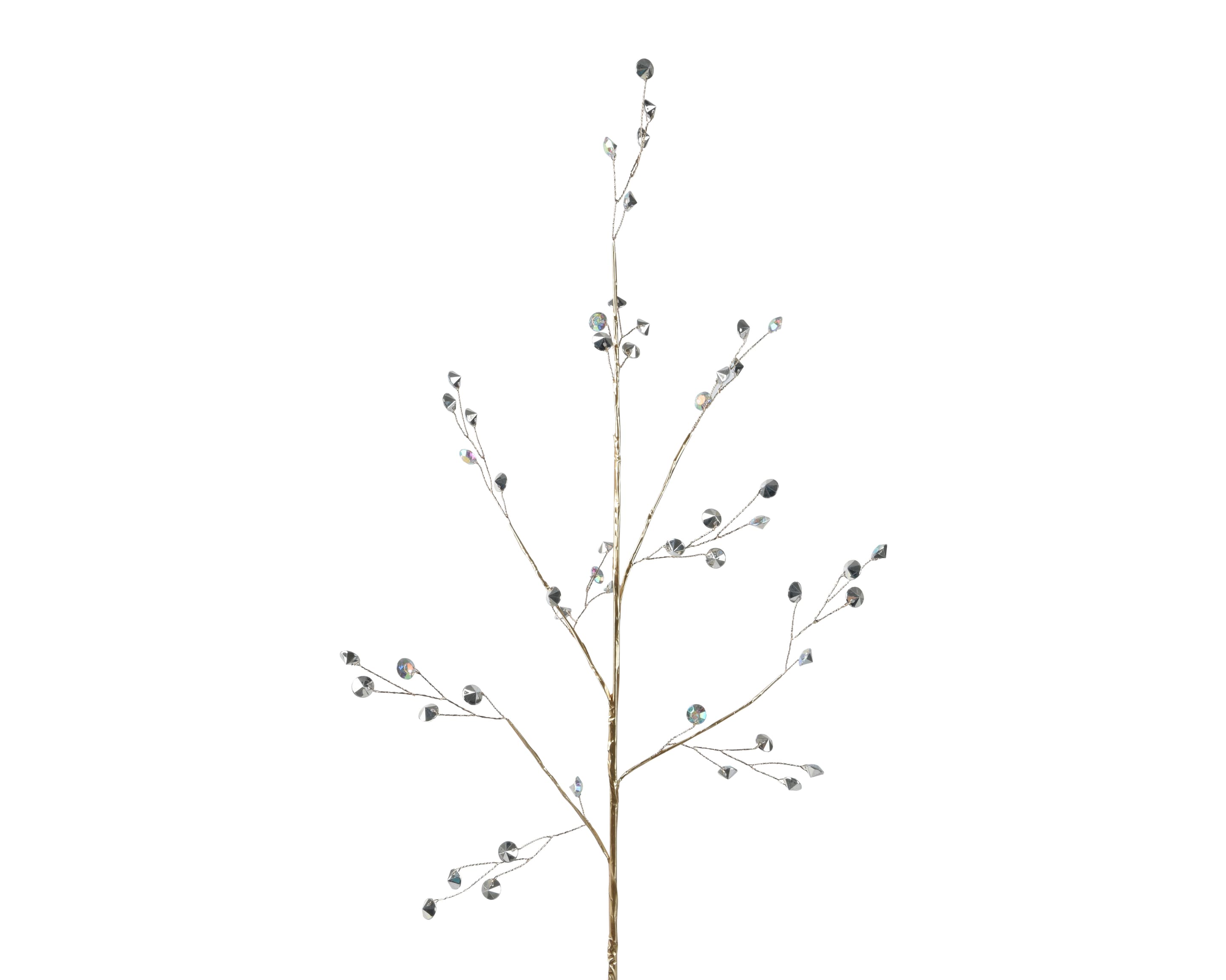 Decoris Zweig