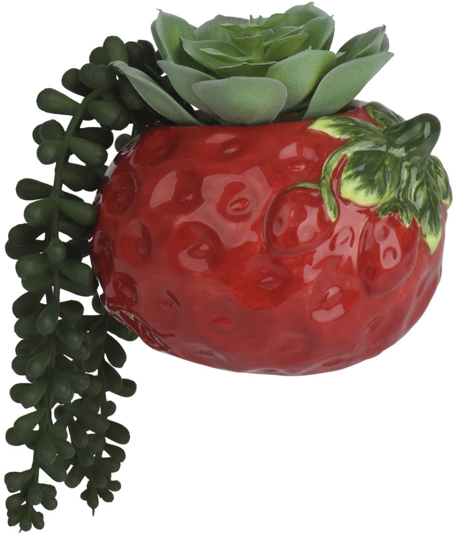 Everlands Kunstblume Sukkulente Dolomit