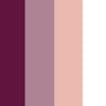 Rose, White