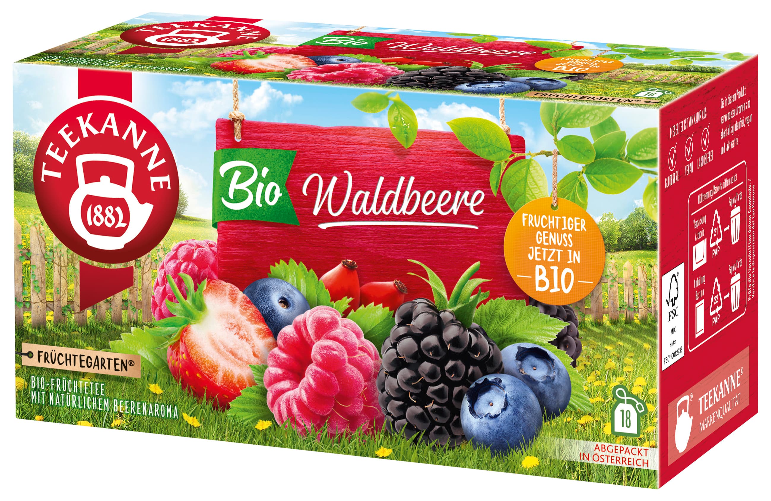 TEEKANNE Bio Waldbeere