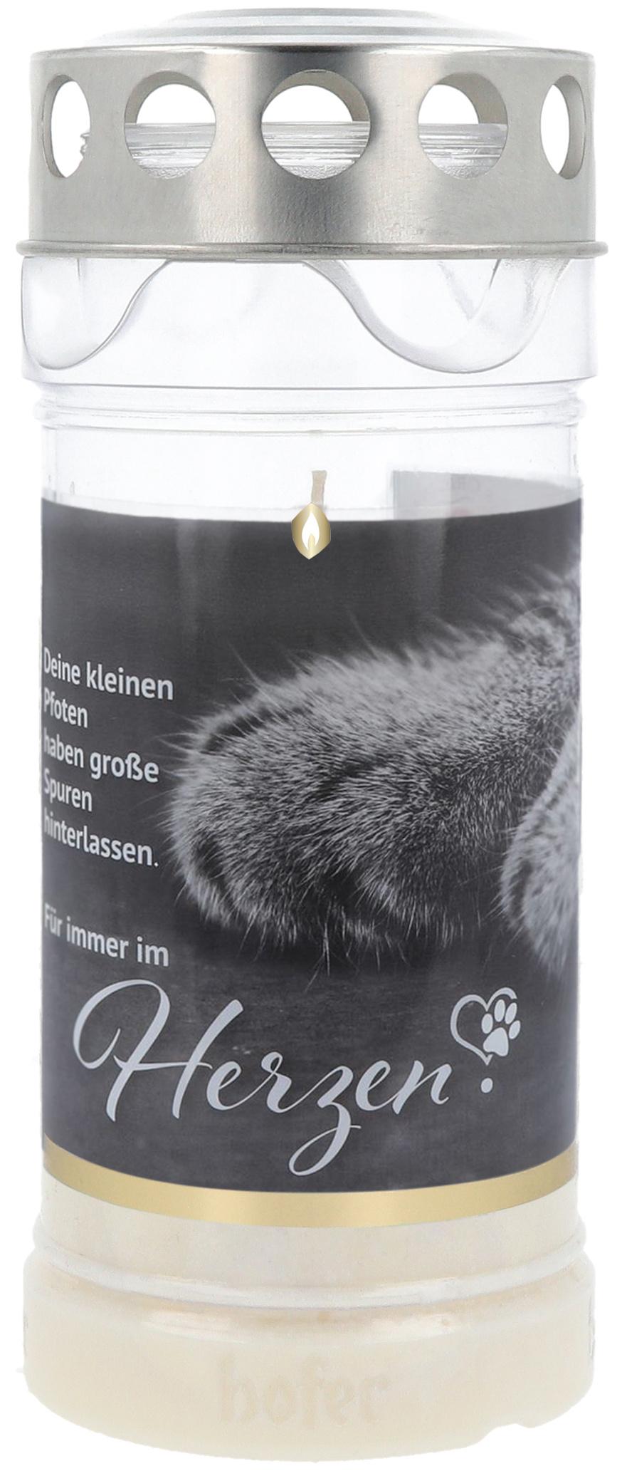 Hofer Premium 4 Tage Motivlicht Katze