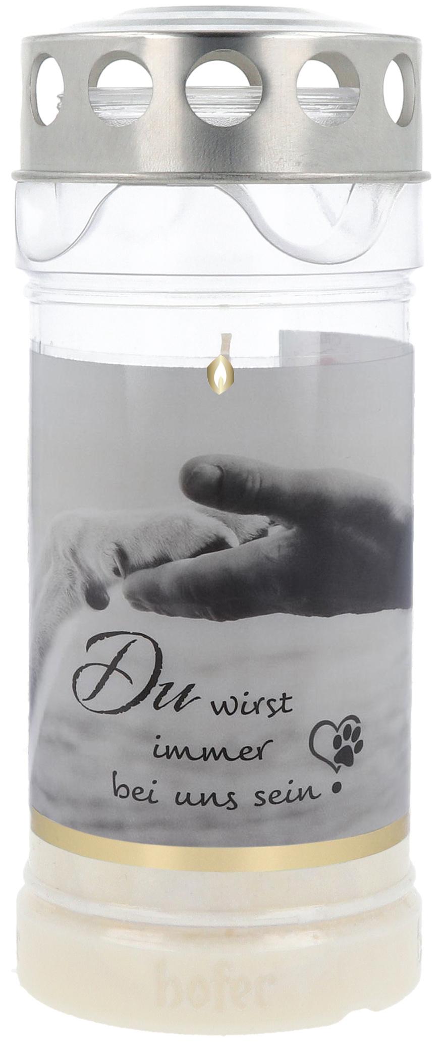 Hofer Premium 4 Tage Motivlicht Hund