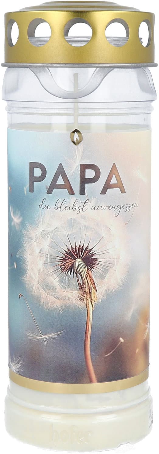 Hofer Premium 7 Tage Motivlicht Papa du bleibst unvergessen