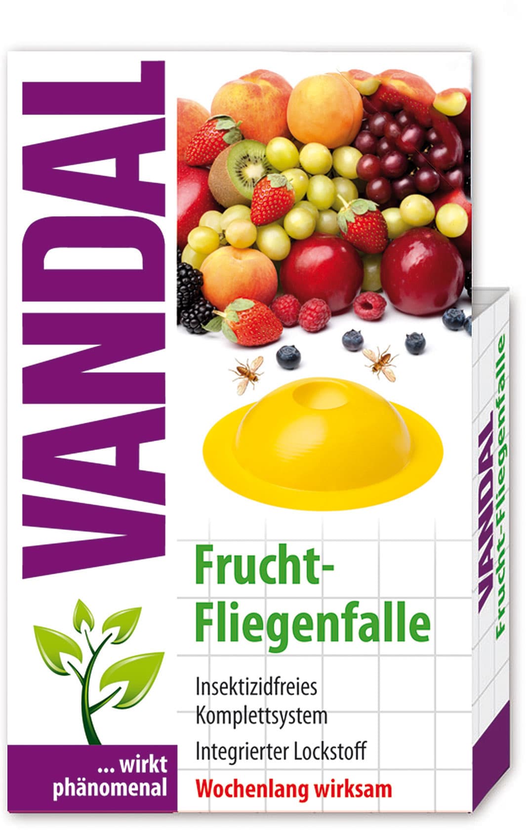 Vandal Fruchtfliegenfalle