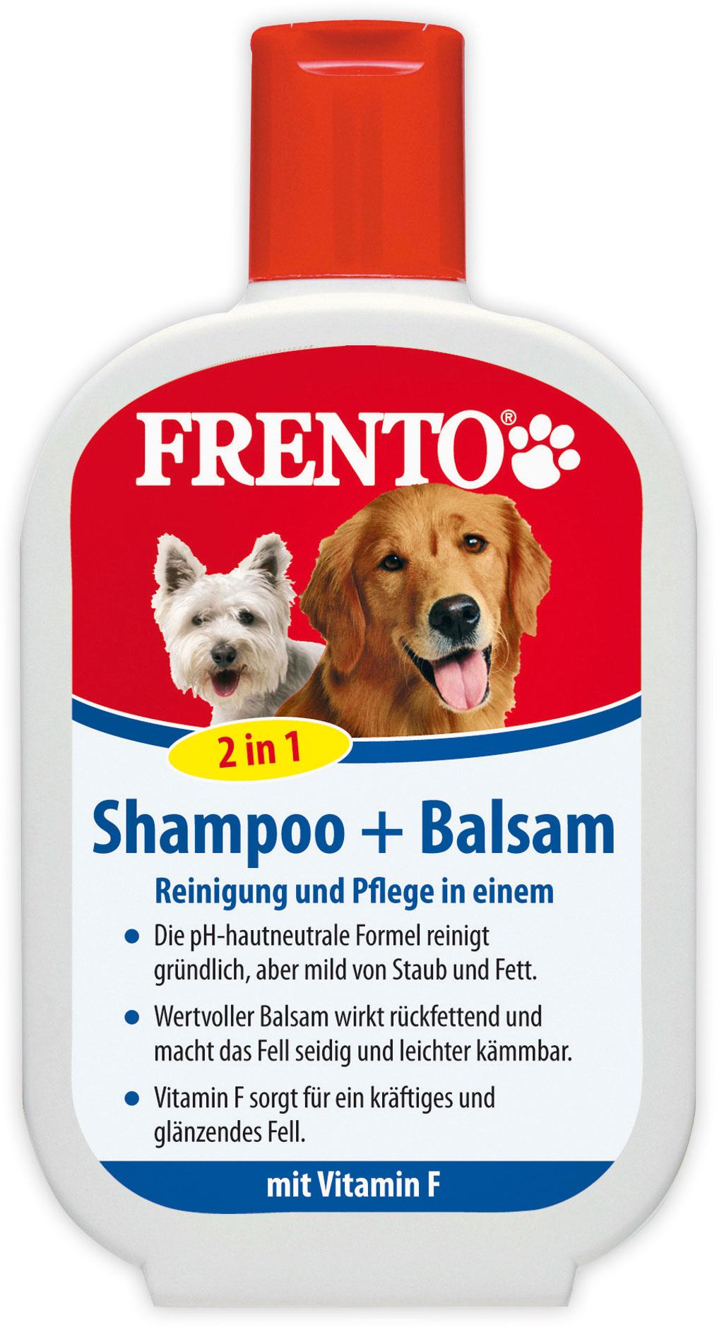 Frento Shampoo und Balsam 2 in 1
