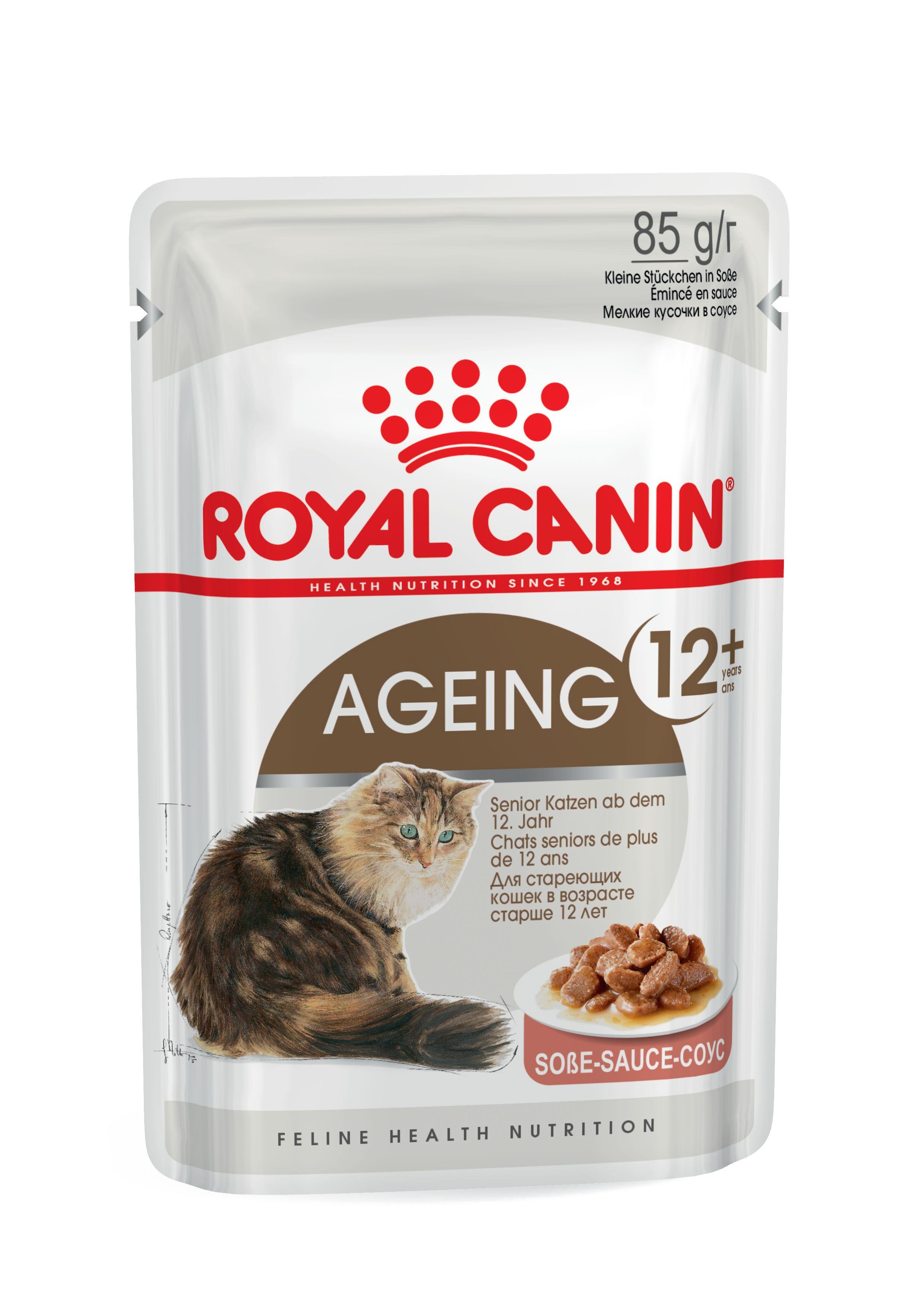 ROYAL CANIN Katzennassfutter Feline Health Nutrition Ageing Senior 12+ in Soße