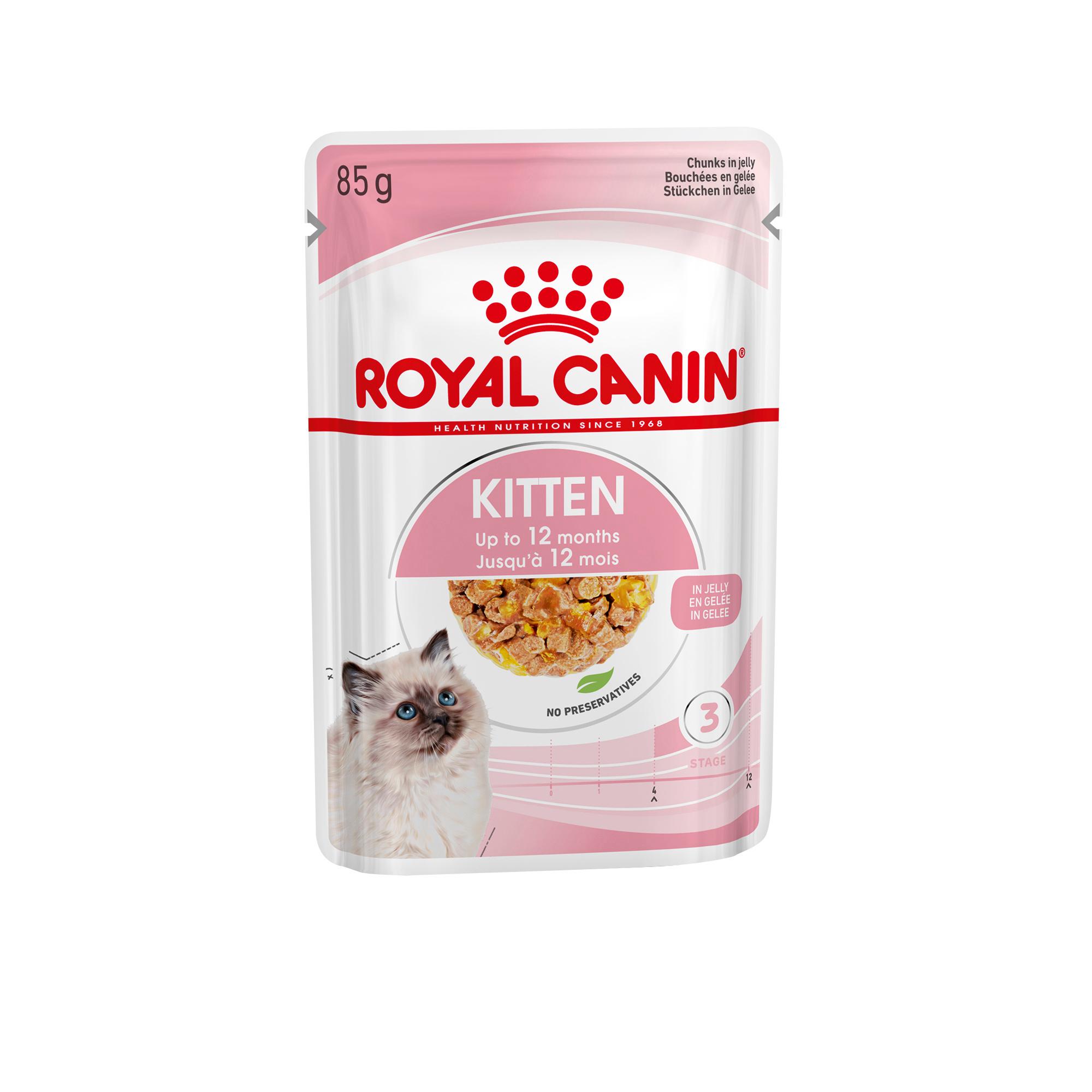 ROYAL CANIN Katzennassfutter Feline Health Nutrition Kitten in Gelee