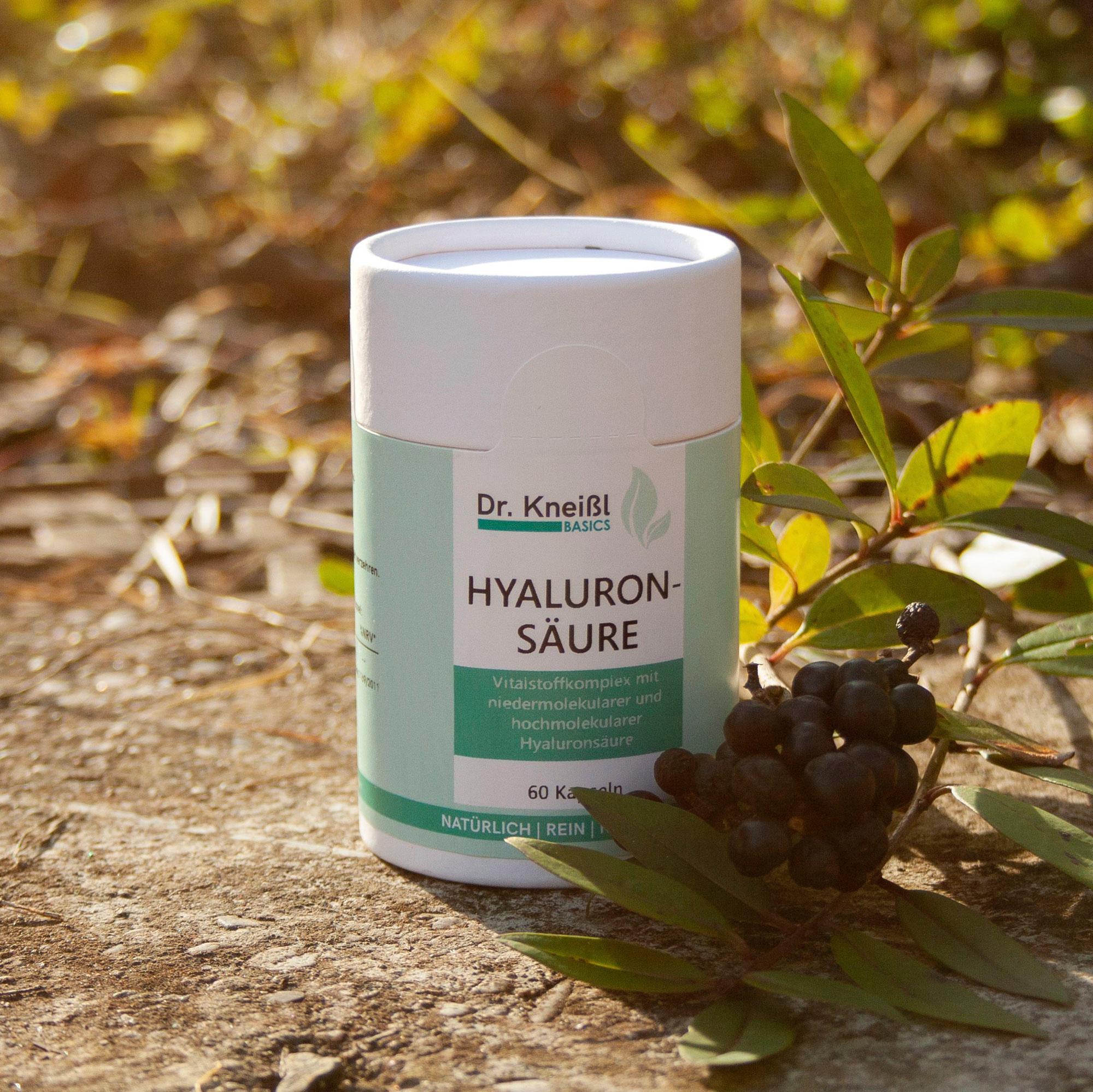 Produktbild Dr.Kneißl Basics Hyaluronsäure 4 von 4