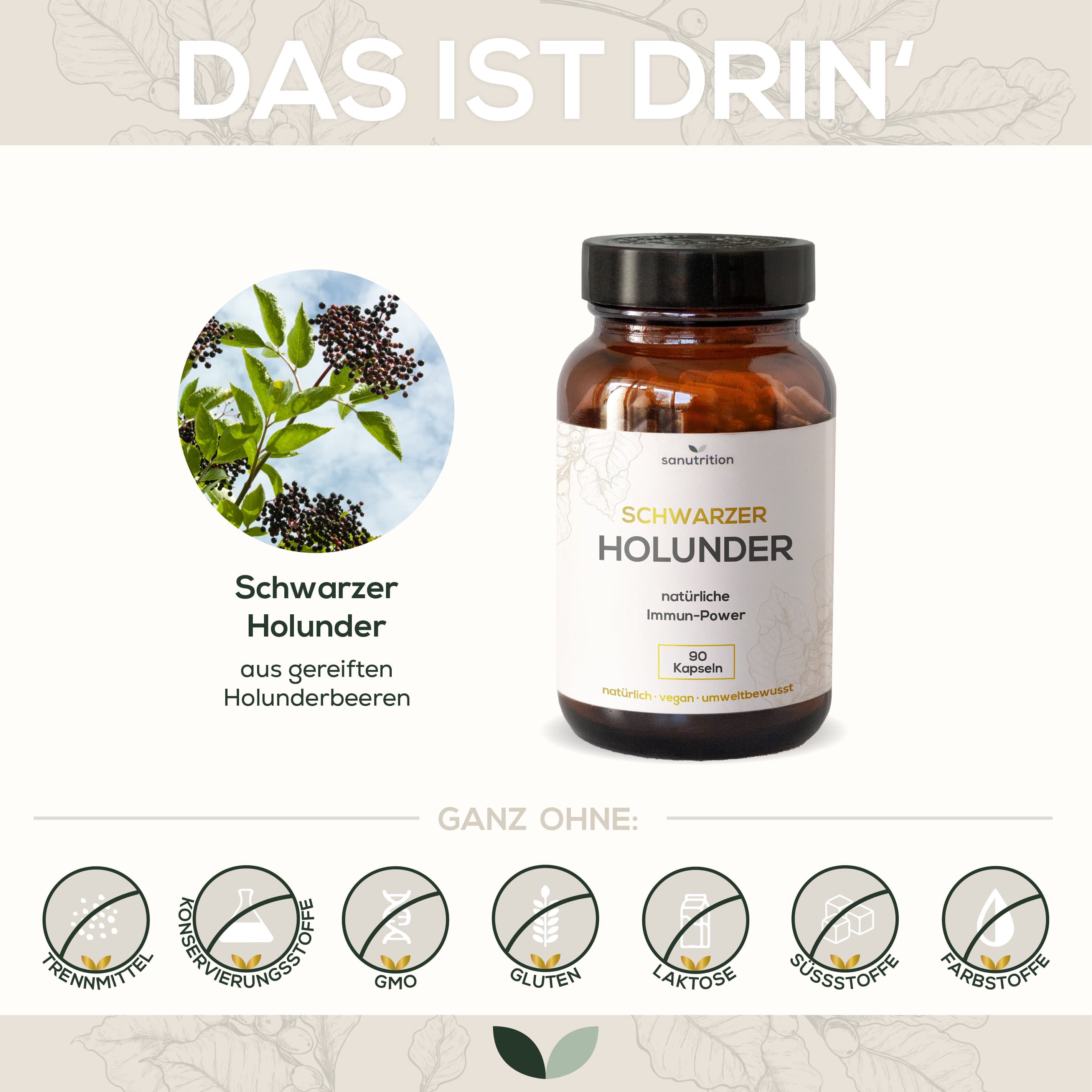 Produktbild Sanutrition® Schwarzer Holunder Kapseln 4 von 4