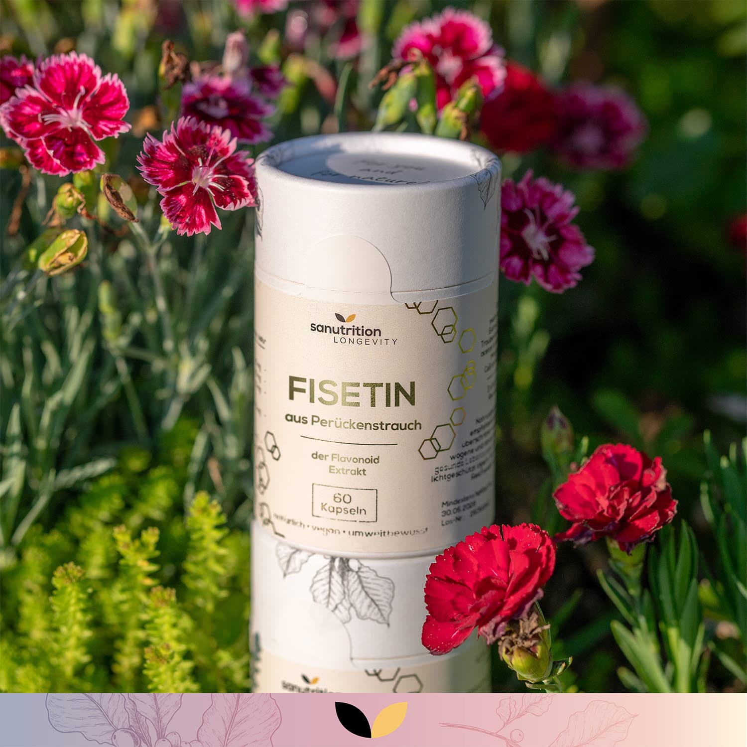 Sanutrition® Fisetin 100mg (pflanzliches Bioflavonoid)