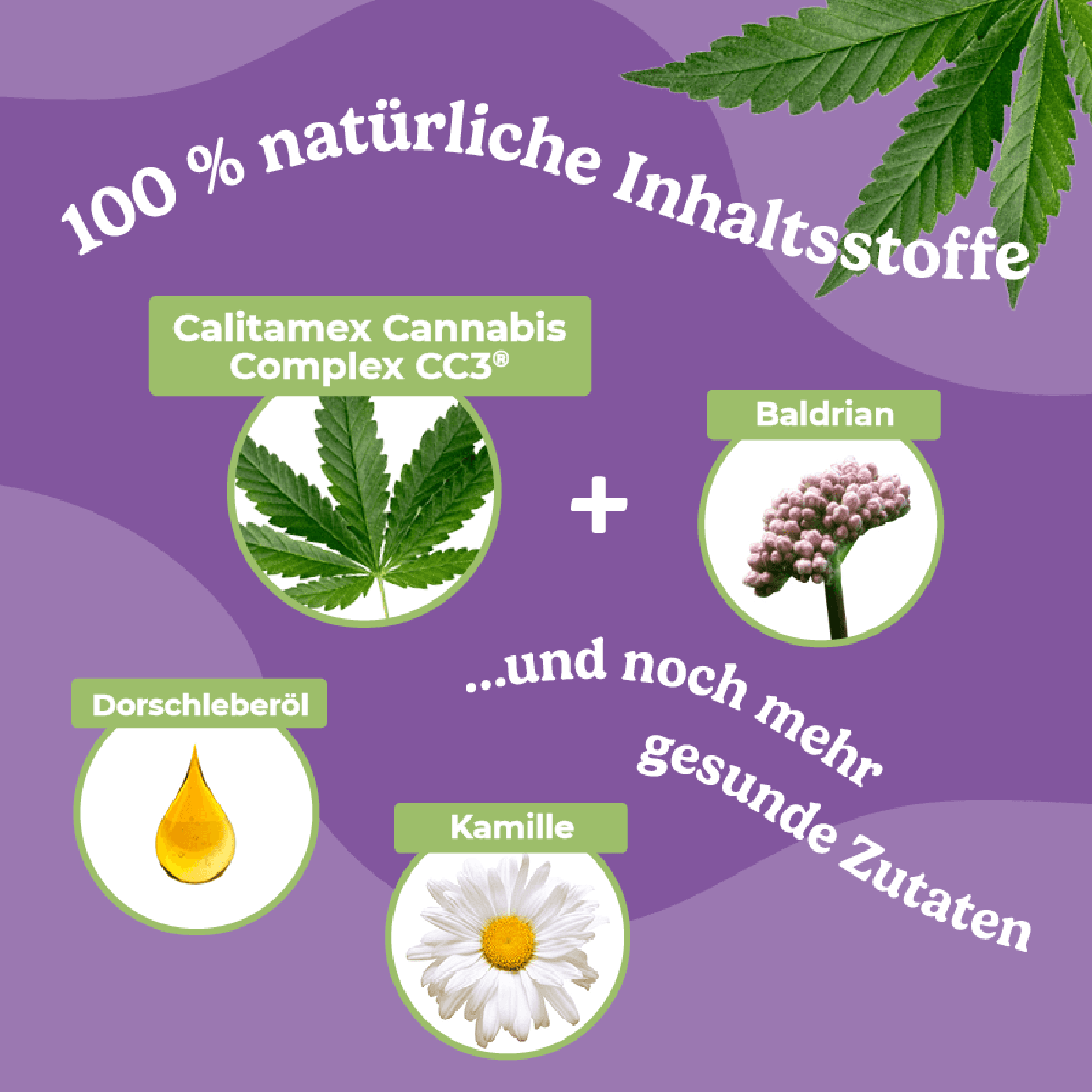 Produktbild Calitamex CBD Öl Beruhigung 7% 2 von 4