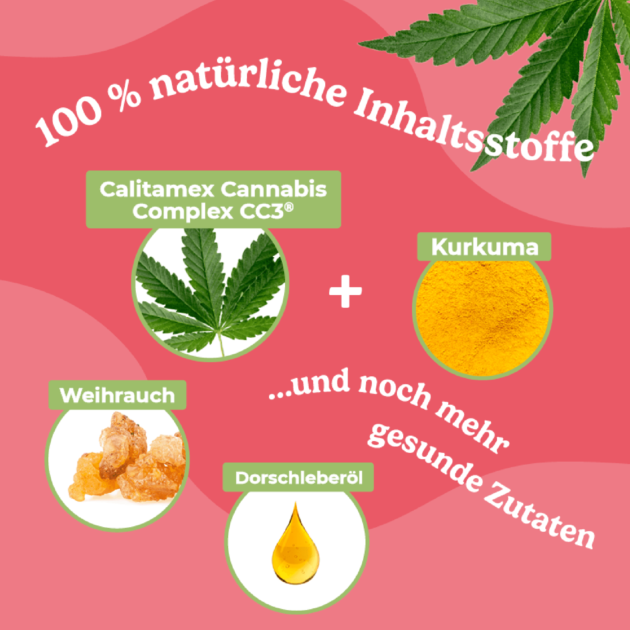 Produktbild Calitamex CBD Öl Mobilität 7% 3 von 5