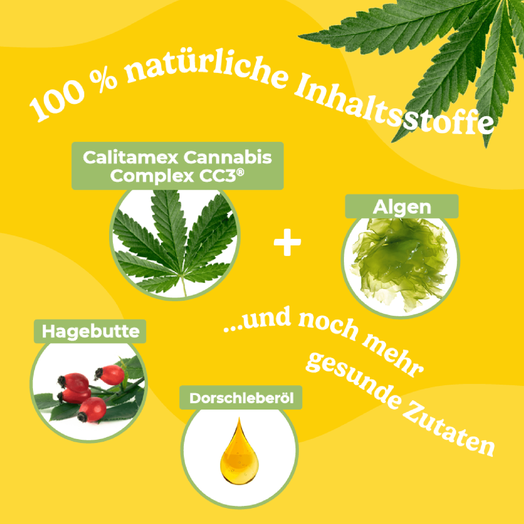 Produktbild Calitamex CBD Öl Wohlbefinden 7% 3 von 5