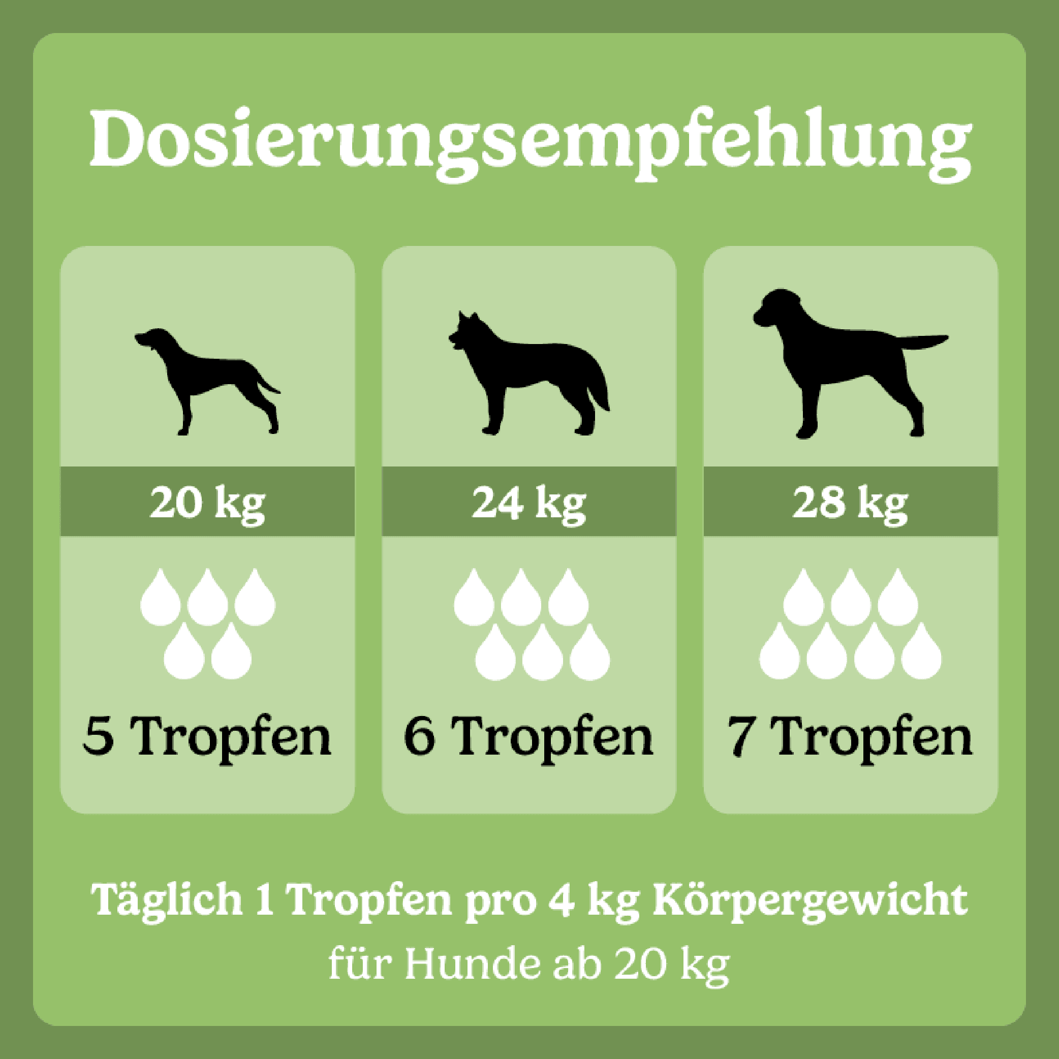Produktbild Calitamex CBD Öl Wohlbefinden 14% 4 von 4