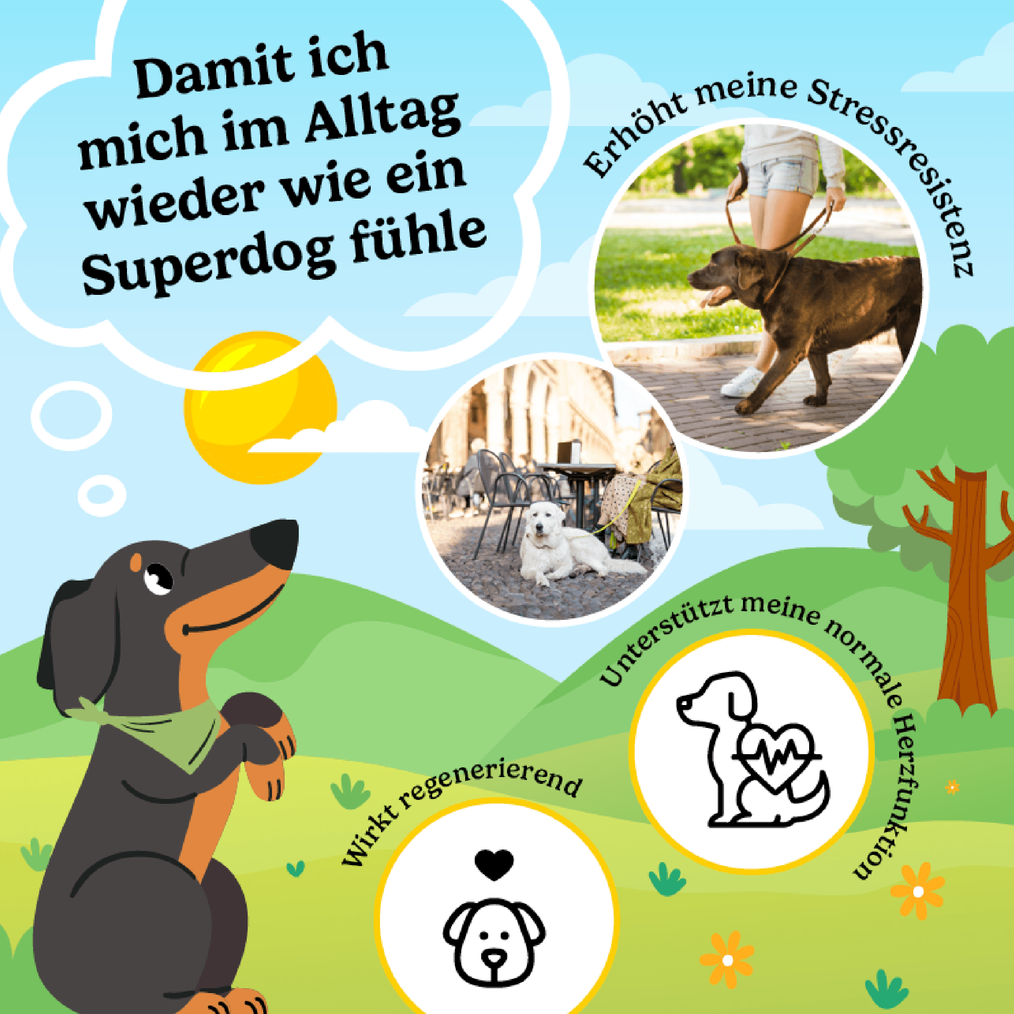 Produktbild Calitamex CBD Happies Wohlbefinden 4 von 5