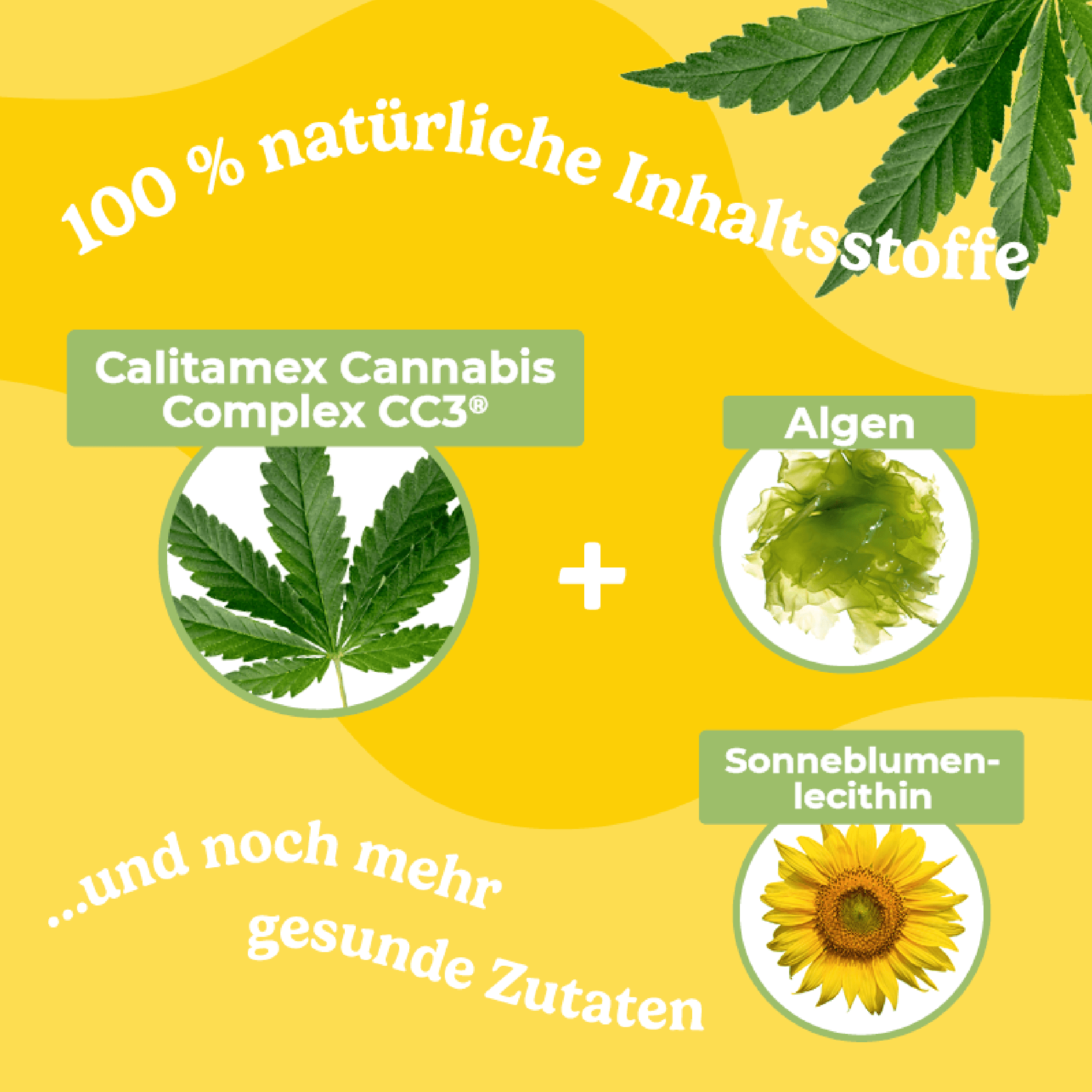 Produktbild Calitamex CBD Happies Wohlbefinden 3 von 5