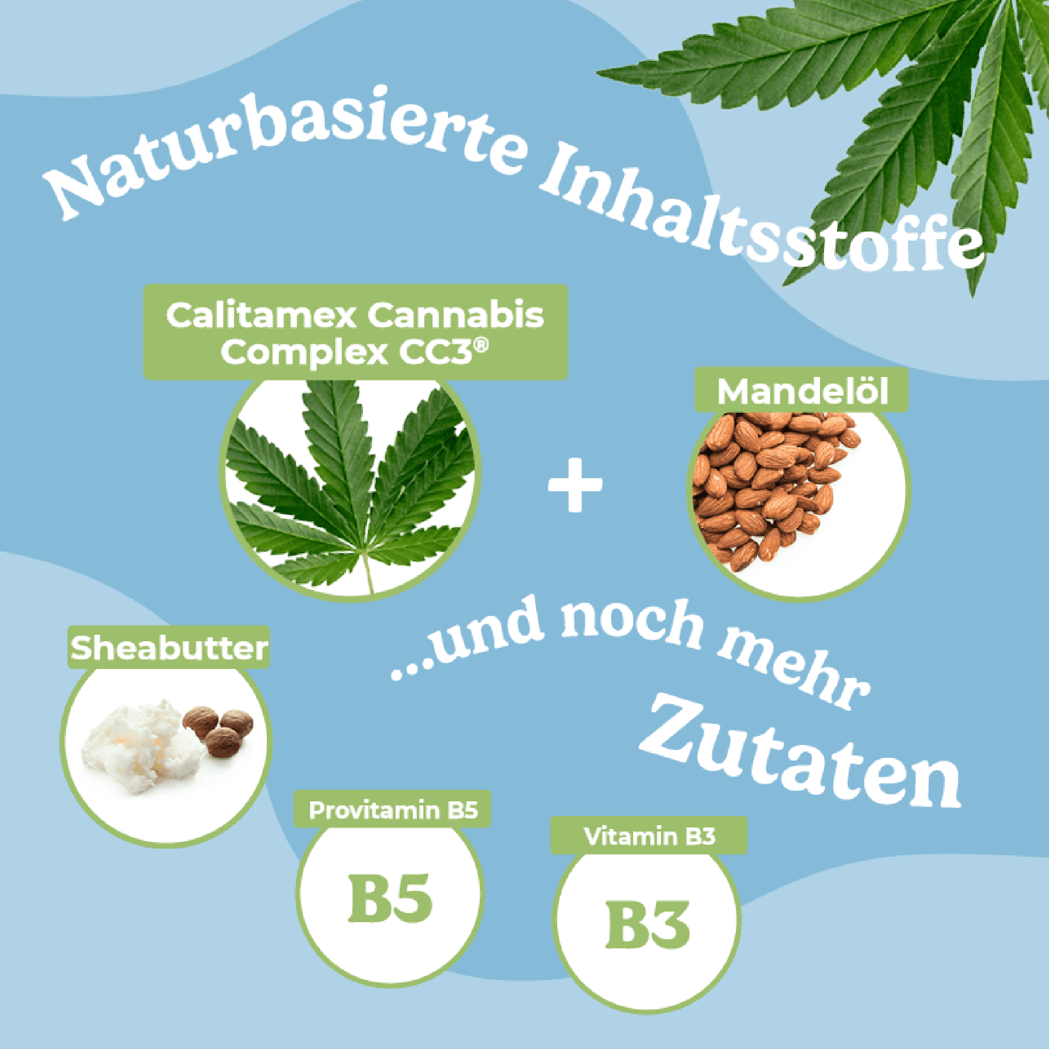 Produktbild Calitamex CBD Balsam 2 von 3